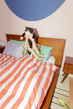 Man with cat in bed