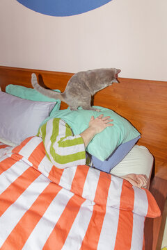 Playful cat