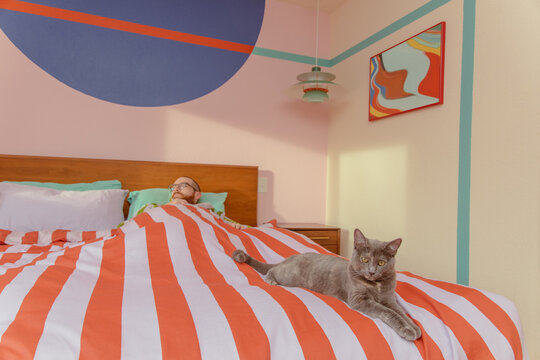 Cat and man in bed