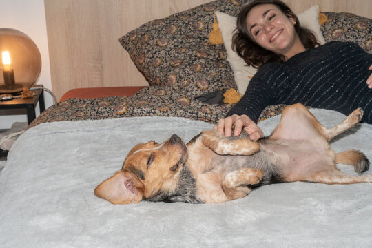 Dog and Woman Relax on Bed Together in Warm Home Setting