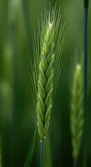 Fototapeta premium Intricate macro view of delicate stalks standing tall in a vibrant field, displaying soft focus bokeh and rich natural green textures, stem, spring, wallpaper