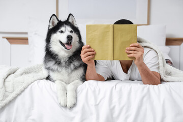 Young man lying on bed and reading book with cute husky dog in bedroom © Pixel-Shot