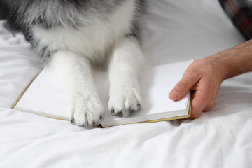 Young man sitting on bed and reading book with cute husky dog in bedroom © Pixel-Shot