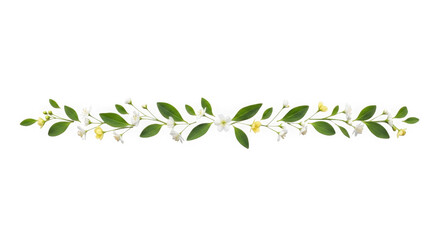 Obraz premium Elegant Floral Divider With White Flowers Green Leaves On Black Bac...