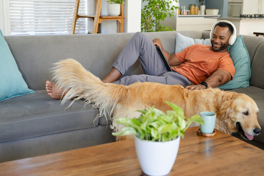 Mature African American man reclining on sofa in orange tee, holding tablet and petting retriever