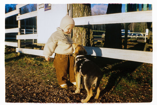 Toddler interacting with a small dog at a farm fence