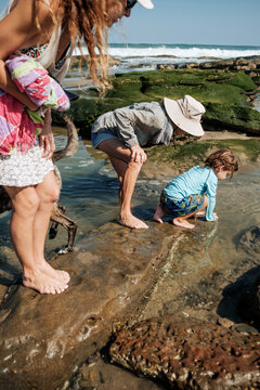 Family Exploring Tide Pools Together at the Beach