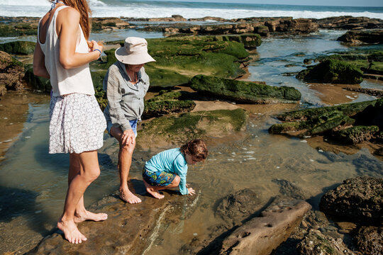 Family Exploring Tide Pools Together at the Beach