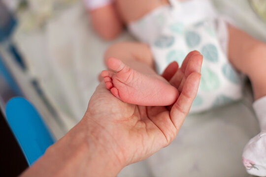 Newborn Foot Held in Adult Hand
