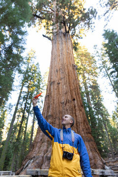 Selfie smile picture camera  Sequoia  tree 