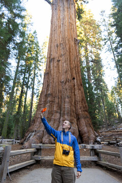 Selfie picture standing Sequoia General Sherman tree 