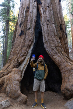 Man take selfie picture camera  Sequoia Tree Forest 