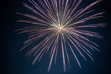 Fototapeta premium Fireworks Burst in Night Sky