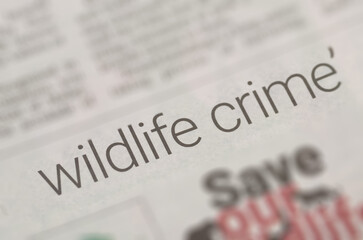 Wildlife Crime and Poaching News Article Headline Concept
