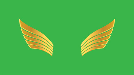 Luxury wing emblem golden wings on green background
