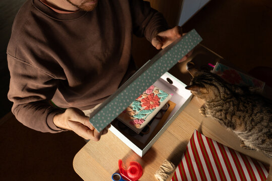 Wrapping Gifts With a Cat in a Cozy Indoor Setting