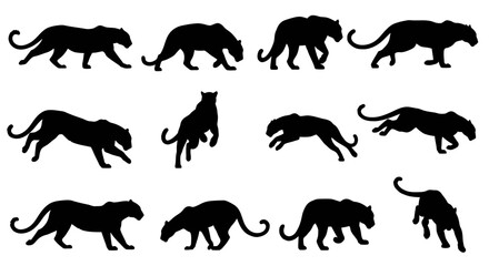 Obraz premium Collection of dynamic big cat silhouettes in various walking poses, showcasing feline agility and movement in a minimalist design