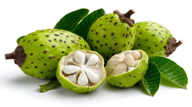 Marang Fruits with Green Shells and White Segments on White Surface