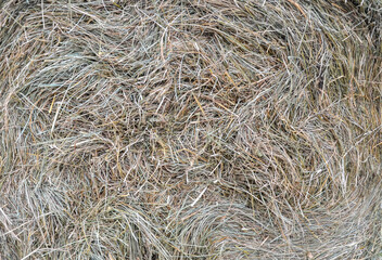Large, circular hay bale tightly packed with dry, golden-brown straw. Its textured, swirled center creates a rustic, agricultural pattern across the frame © Dmytro