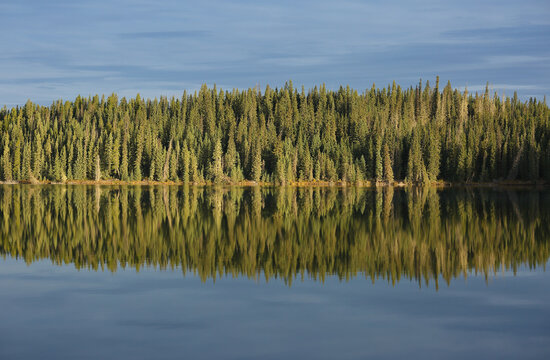 Peaceful morning lake reflection.