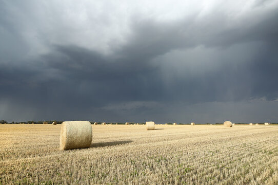 A farmers field during an evening storm at sunset.