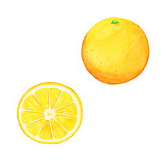 手描き水彩のリアルなオレンジ丸ごとと輪切りセット（葉なし）｜Realistic watercolor whole orange and slice set isolated
