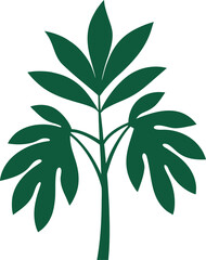 Philodendron Xanadu Tropical Leaf Graphic Botanical Illustration © shahadat