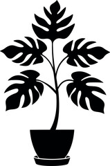 Philodendron Xanadu Potted Leaf Silhouette Botanical Illustration © shahadat