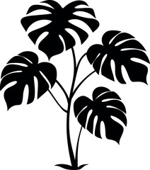 Philodendron Xanadu Tropical Leaf Silhouette Botanical Illustration © shahadat