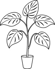 Philodendron Xanadu Botanical Potted Plant Line Art Illustration © shahadat