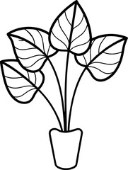 Philodendron Xanadu Houseplant Botanical Line Art Illustration © shahadat