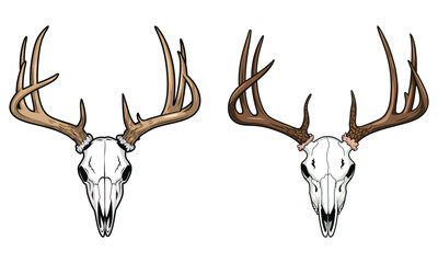 deer head isolated ©  TOWHIDUL ISLAM