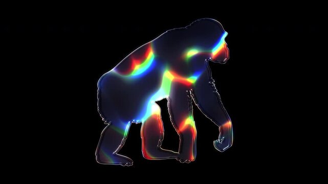 A chimpanzee shimmering with various colored lights on a glass-like surface with an alpha channel. Seamless loop video.