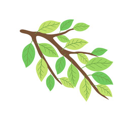 Obraz premium 小枝と若葉のイラスト｜ナチュラル植物ベクター素材