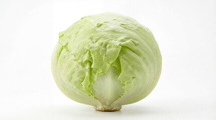 Fototapeta premium Cabbage on white background in a bowl
