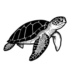 Black and White Sea Turtle Illustration. © puji