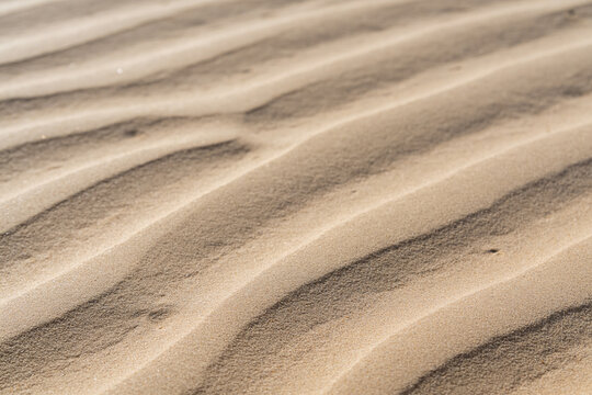 Natural sand ripple texture on beach dunes with soft shadows