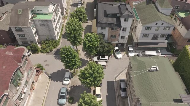 밤가시마을 일산 밤리단길 정발산