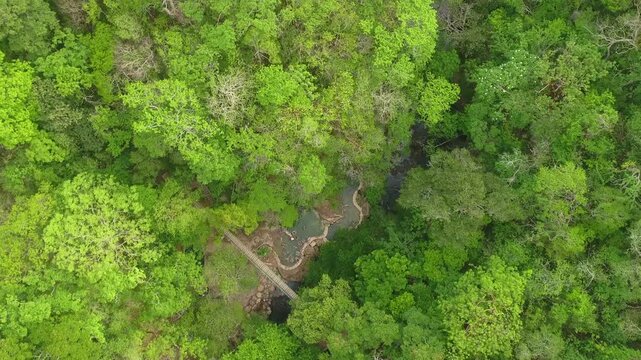 Aerial drone view of Costa Rica showcases a breathtaking tapestry of lush green dense rainforests exposing a thermal spa and bridge below through the vibrant jungle canopy.