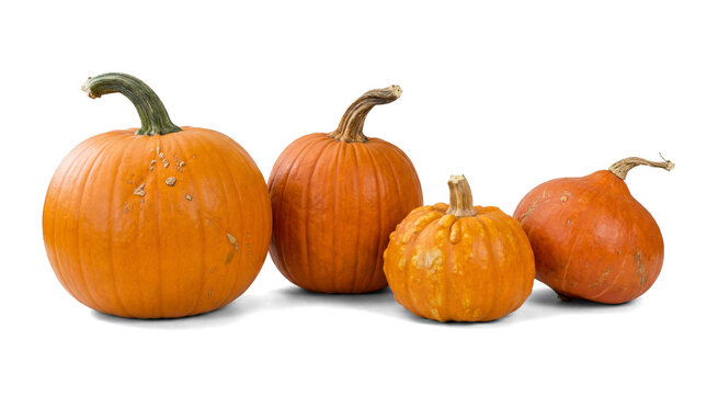 four distinct pumpkins and gourds presented on a transparent background, ideal for graphic design and digital content creation during autumn.