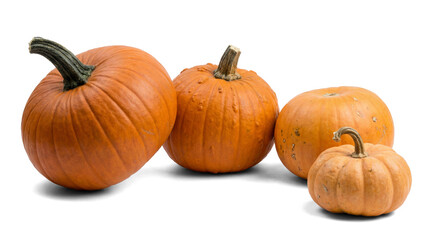 Obraz premium four whole pumpkins of various sizes and shapes on a transparent background, representing autumn harvest and halloween.