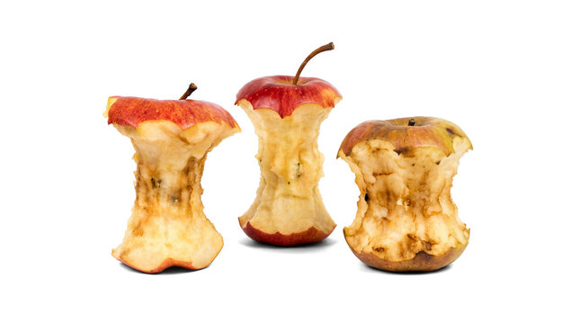 three apple cores arranged closely on a transparent background, showing bite marks and edible remnants.