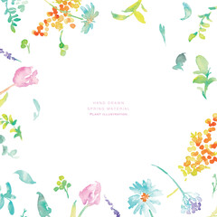 水彩画。水彩タッチのベクター春植物イラスト。春の花と植物のベクターフレームセット。Watercolor painting. Vector spring botanical illustration with watercolor touch. Vector frame set of spring flowers and plants.