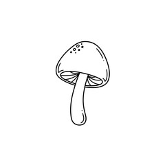 Mushroom illustration on white background