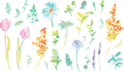 水彩画。水彩タッチのベクター春植物イラスト。春の花と植物のベクターフレームセット。Watercolor painting. Vector spring botanical illustration with watercolor touch. Vector frame set of spring flowers and plants.