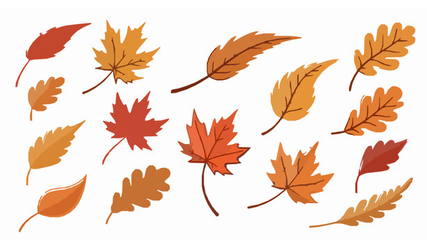 Whimsical Autumn Foliage Vector Set with Warm Colored Fall Leaves Isolated on White