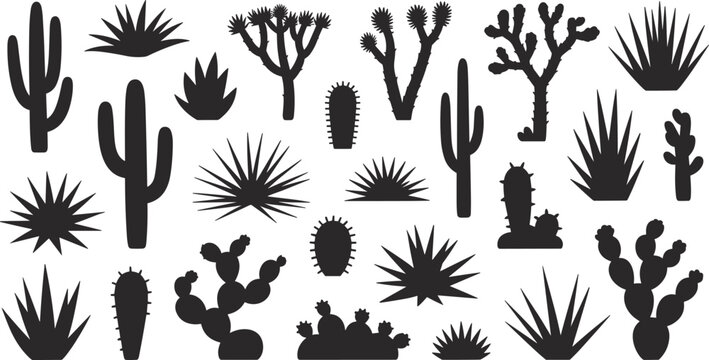 Yucca Imagens – Procure 61,112 fotos, vetores e vídeos | Adobe Stock
