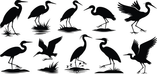 Obraz premium Collection of ten heron bird silhouettes in various poses including flying, standing, and walking, nature wildlife illustrations for design