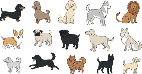 Fototapeta premium Cute Dog Breeds Collection Set with Dachshund, Poodle, Husky, Corgi, Pug and Other Domestic Puppies in Flat Cartoon Vector Style
