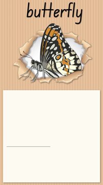 Educational Alphabet Animation for Letter B with Butterfly Illustration